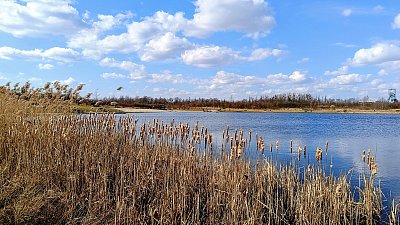 Orobinec a v dáli pláž *