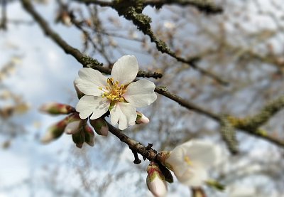 Pro ten zítřejší den