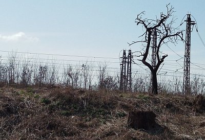 Co jsem komu udělal?*