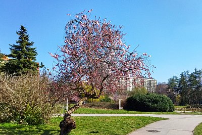 Odpolední vycházka