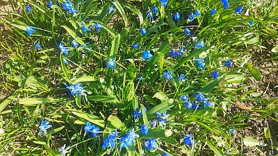 Sobota jak malovaná