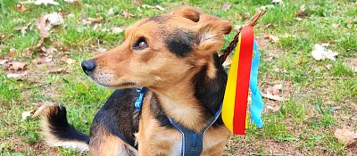 Na pondělí jsem připraven. Rocky