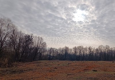 Mračení na vyklučení *