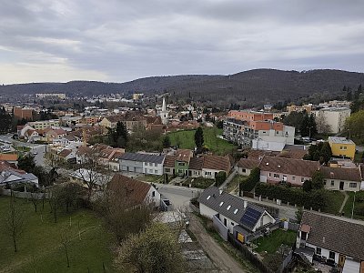 Brno obklopeno lesem *