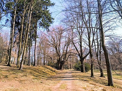 Zámecká alej v Chyši