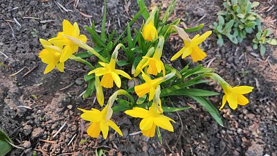 Radostné prožití Velikonočnich svátků ☀️