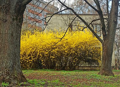 Zlatý déšť ve Zlíně