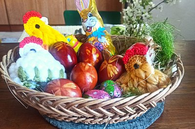 Barvila jsem v cibuli