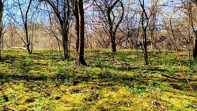 Tady se píší pohádky samy... *