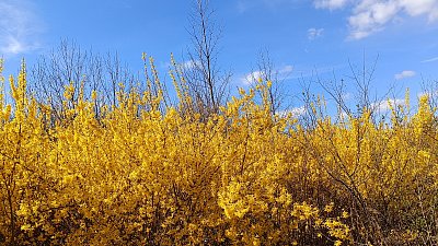 Ve svátečním hávu *