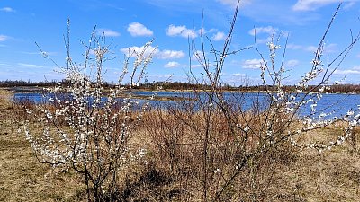 Trnky, vlnky, beránci...