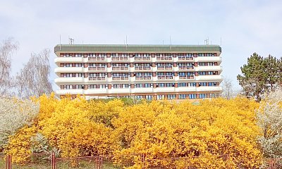 Nemocnice Na Homolce v objetí zlatice*