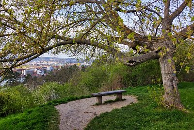 Vyhlídka Emy Destinnové*