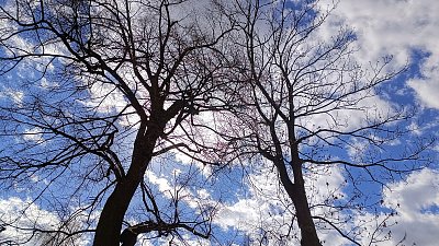 "Pučíš?" "A co potřebuješ?"