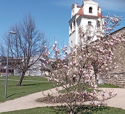 Jarní park Václava Havla *