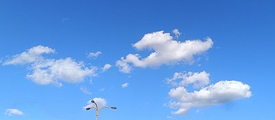 Letecký den...  ;-)