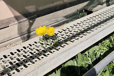 Tady jsme asi špatně ... :-(