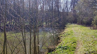 Ranní jiskření na rybníku