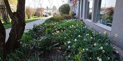 U nás za rohem dnes po obědě