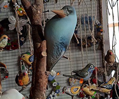 Vyberete si toho svého ?