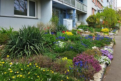 Květinové záhony před panelákem