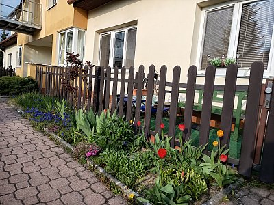 Náš pečováček *️⃣