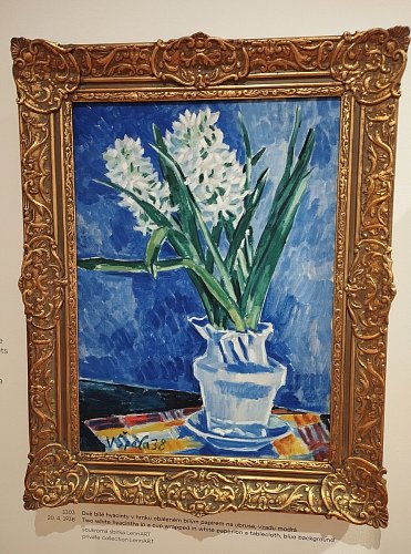 Dvě bílé hyacinty