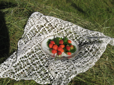 Slunce, seno, jahody