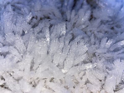 Ledové království *