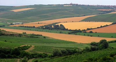 Žírná Morava