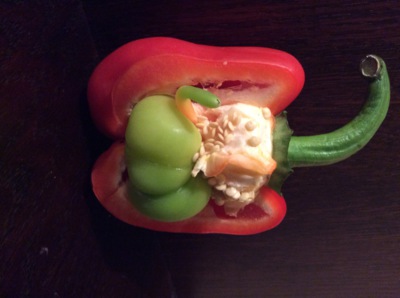 Koupila jsem dnes těhotnou papriku- a byl by to kluk!