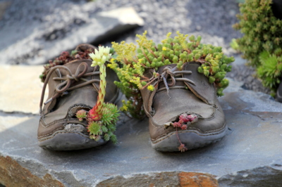 Bota nická zahrádka...