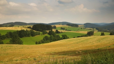Z Vysočiny