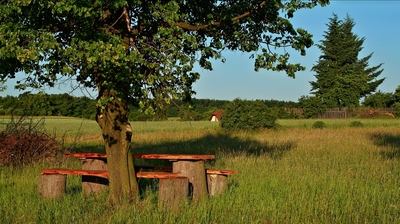 Posezení