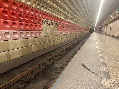 Růže pro (ne)známou ženu *