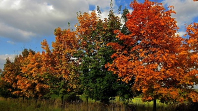 Pěkně se nám vybarvují