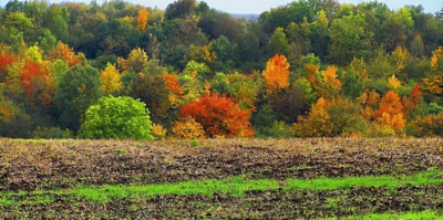 Naše půvabná zem !