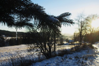 Předvánoční Šumava