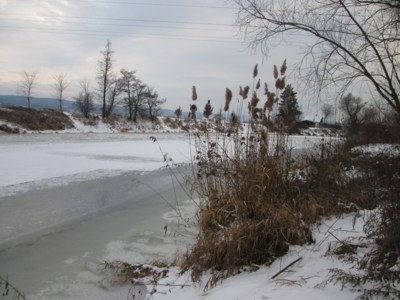 Severská krajina u Berounky