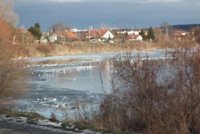 Na zamrzlé Berounce