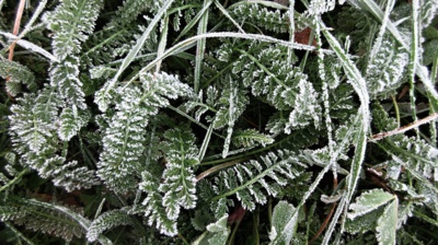 Příroda maluje a čaruje