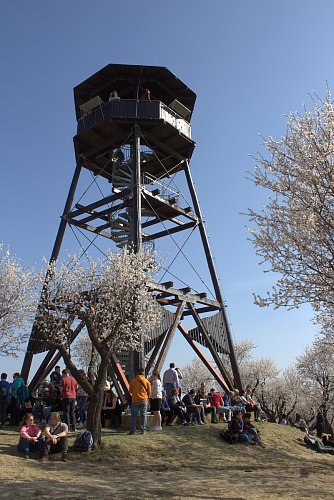 Rozhledna
