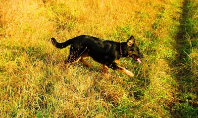 Uskutečnění   " Mého  plánu "  - Mysteria