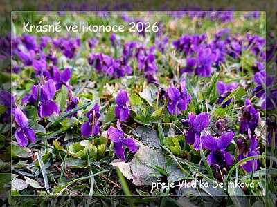 Krásné velikonoce i pŕicházející jaro Všem