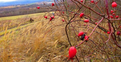 Je vůbec prosinec ?