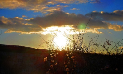 Čerstvé povětří