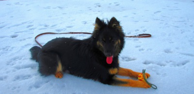 Už je mi 7 měsíců