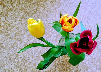 Pro radost z dnešního dne