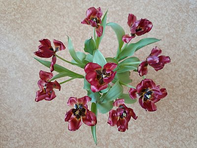 Všechno jednou skončí