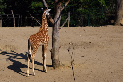 Nechci se fotit  :-)